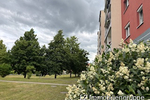 Lichtduchflutete 4-Raum-Eigentumswohnung mit Balkon in grüner Lage von Coswig