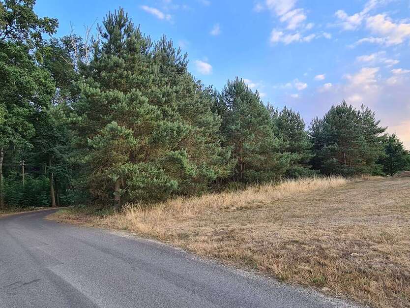 Grundstück zu verkaufen in Kamenz 30.000 € 1895 m²
