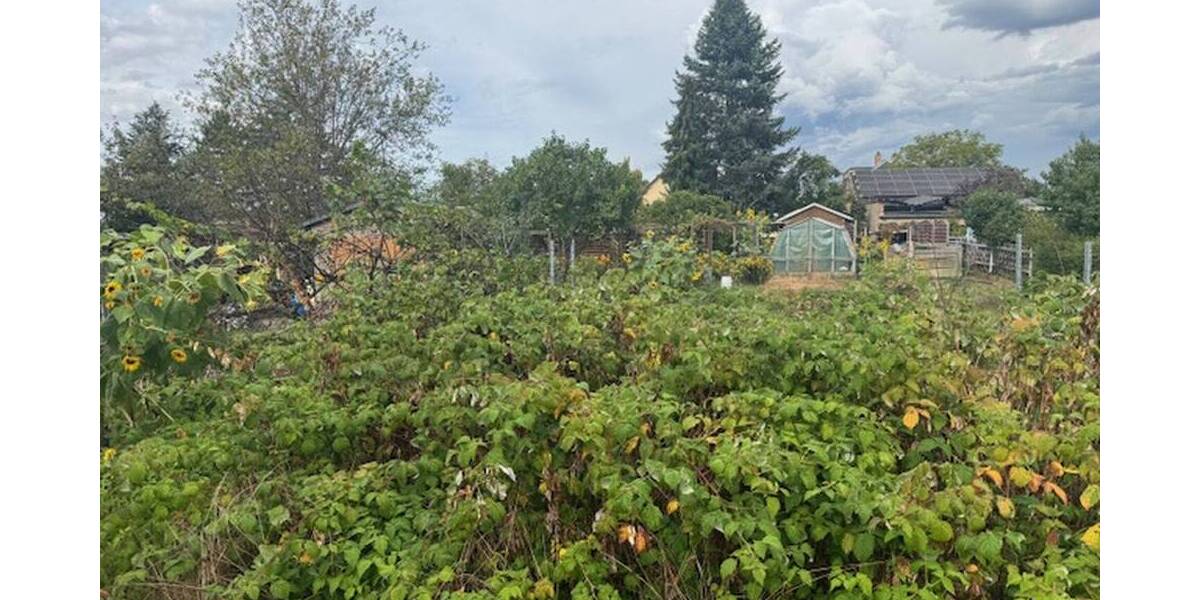 Grundstück Radebeul - 220.000&euro; | Angebot:25666037