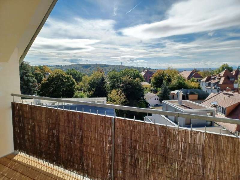 Wohnung zum Mieten in Dresden 1.450 € 122.71 m²