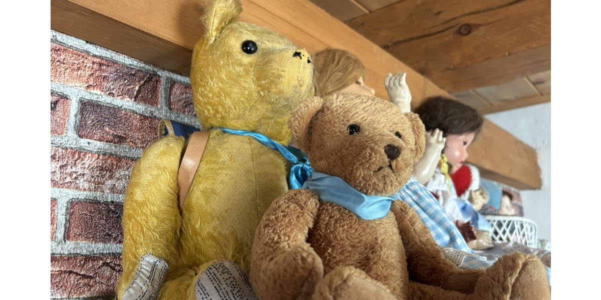 Wohnen? Arbeiten? Beides. In Perfektion! 6 zimmer