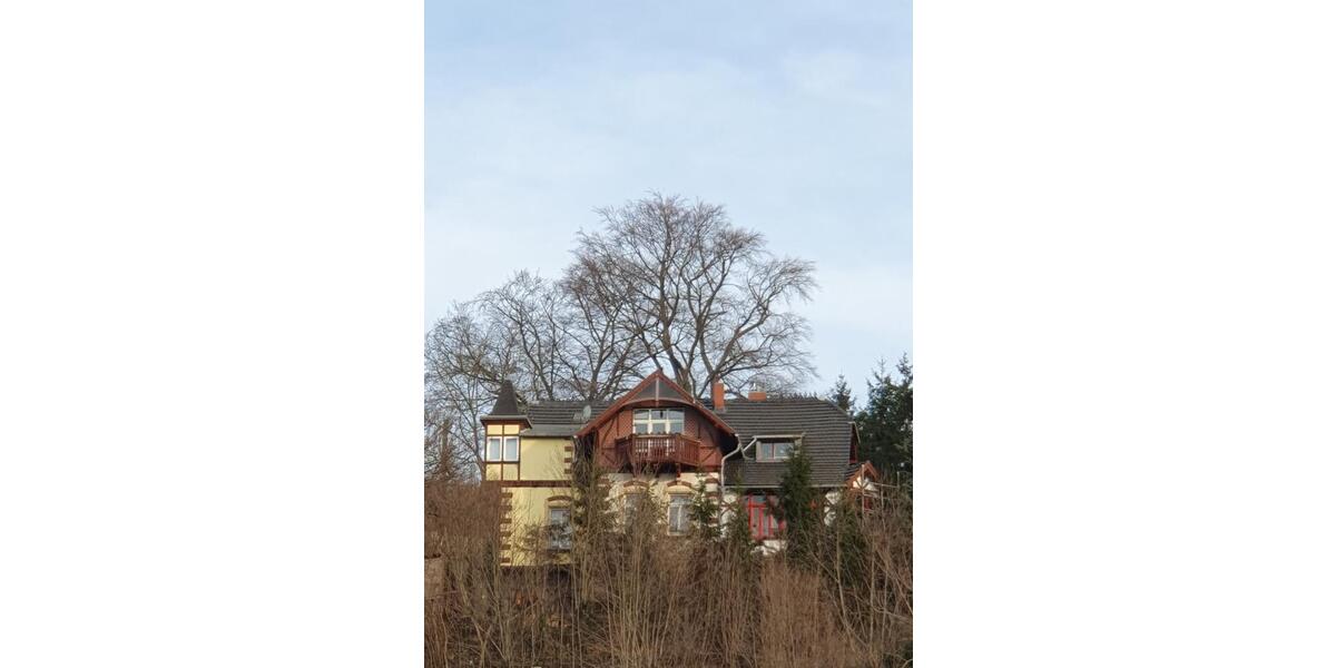 Villa Meißen - 10 Zimmer, 200 m&sup2;, 380.000&euro; | Angebot:25846082