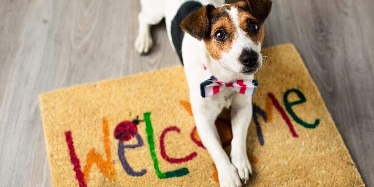 Grundstück Radebeul - 198.800&euro; | Angebot:25680385