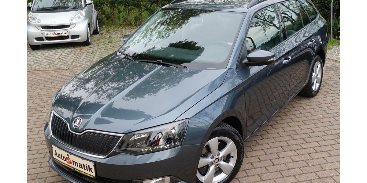 Skoda Fabia 30.000 km 14.480 &euro; Dresden 01239