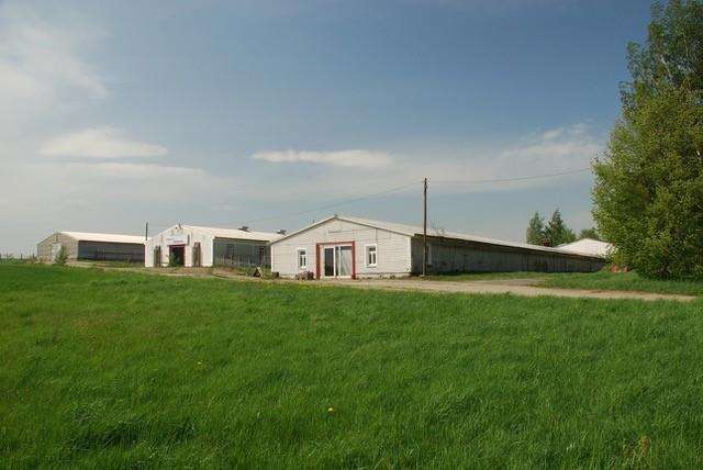 Halle in Klipphausen 4.000 € 1000 m²