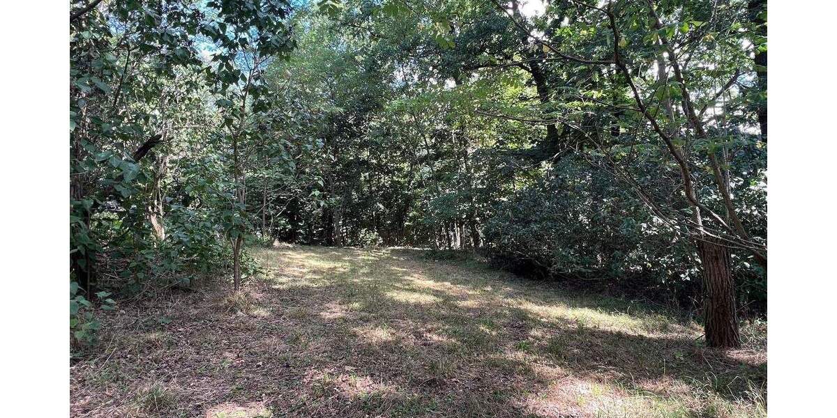 Idyllisches Wald-, Wiesen- und Wohngrundstück in Medingen bei Dresden zimmer