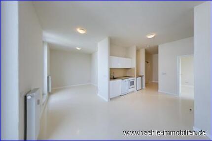 2-Raum-DG mit Terrasse und Dachgarten in Uninähe frei ab sofort 2 zimmer