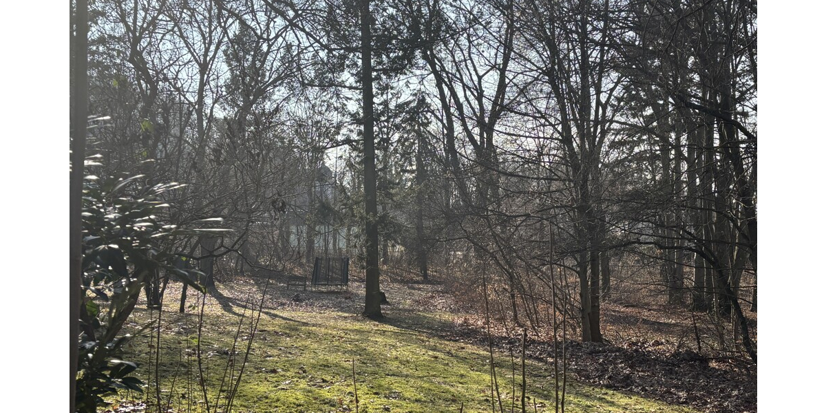 Traumhafte 5-Zimmer Eigentumswohnung im Park in absoluter Bestlage am Waldrand - Erdgeschoßwohnung Coswig | Angebot:25060534