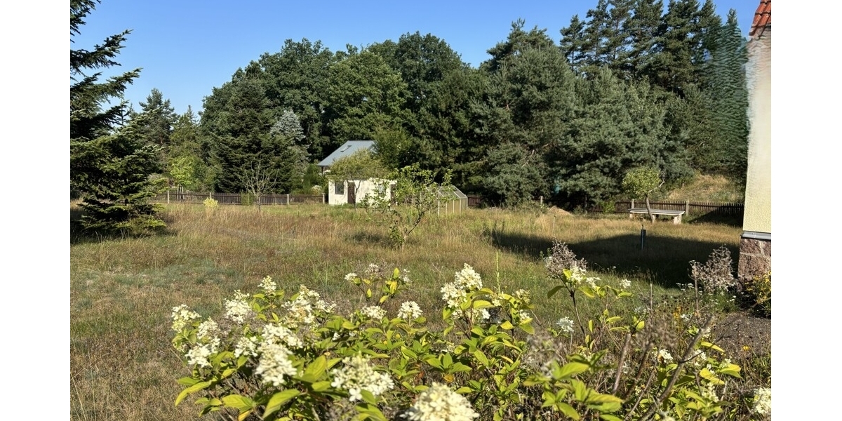 Einfamilienhaus mit ganz viel Potential und XL Grundstück in begehrter und ruhiger Siedlungslage - Einfamilienhaus Weinböhla | Angebot:27156514