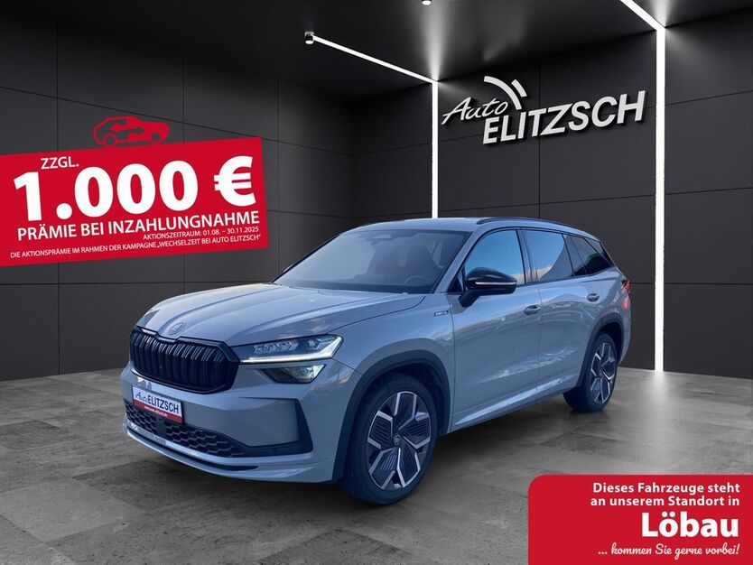 Skoda Kodiaq 9.000 km 49.980 € Dippoldiswalde 01744