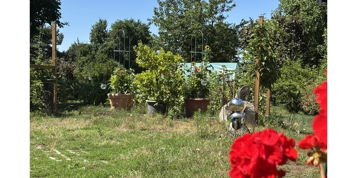 Grünes Paradies für Groß und Klein: Großzügige Doppelhaushälfte in absolut ruhiger Idylle - Doppelhaushälfte Weinböhla | Angebot:27022913