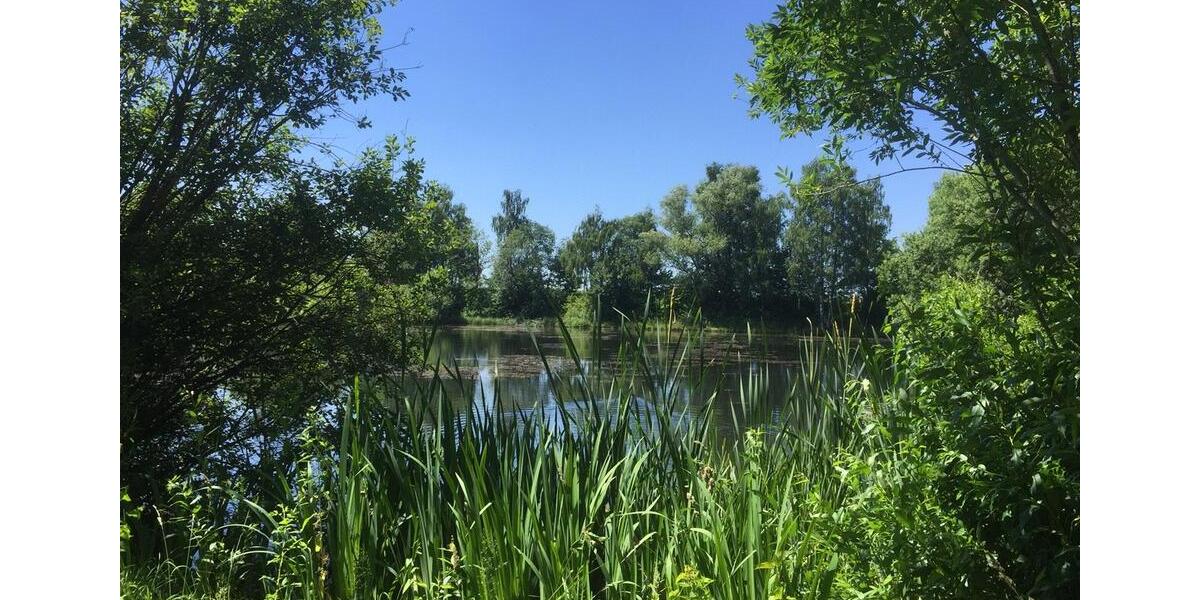 Helle 2-Raumwohnung mit Wanne,Küche,Keller und Stellplatz 2 zimmer