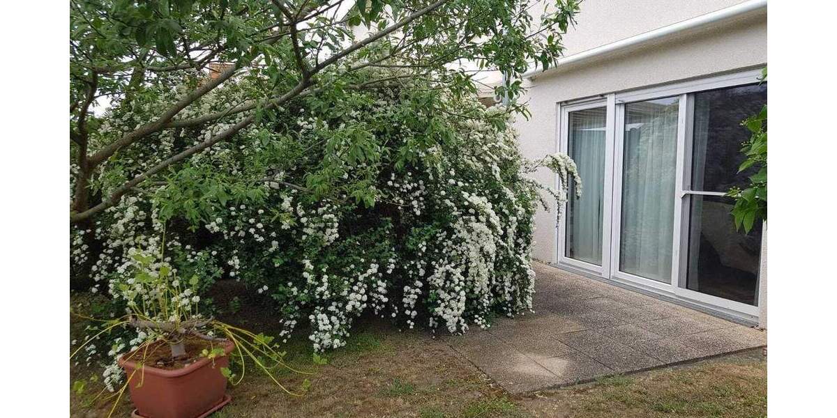 Weinböhla: Reihenendhaus mit schönem Grundstück in ruhiger Wohnlage 5 zimmer