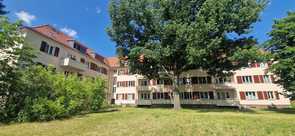 Erdgeschoßwohnung Dresden Klotzsche - 1 Zimmer, 34 m&sup2;, 298&euro; | Angebot:25648119