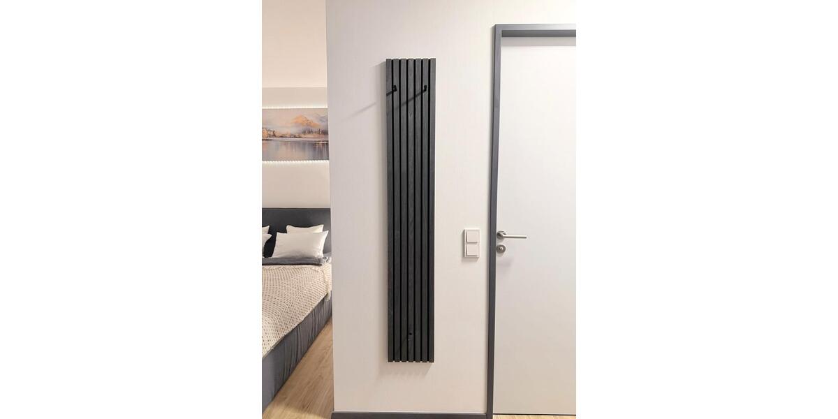 Terrassenwohnung Dresden Plauen - 1 Zimmer, 30 m&sup2;, 80&euro; | Angebot:25536101