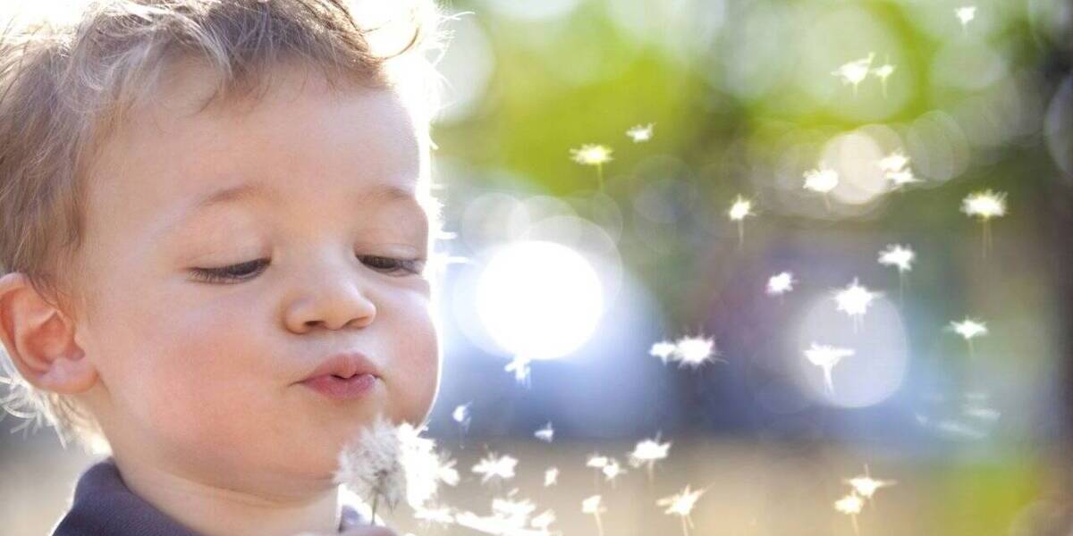 Bungalow Ullersdorf Großerkmannsdorf - 5 Zimmer, 185 m&sup2;, 569.399&euro; | Angebot:25985089