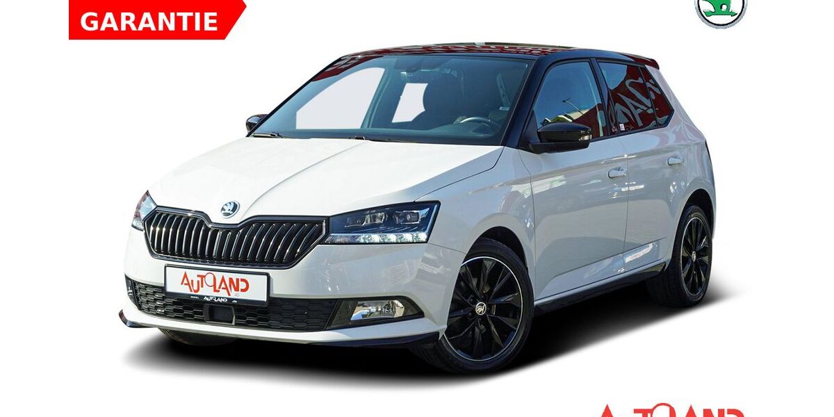 Skoda Fabia 53.605 km 16.990 &euro; Dresden 01069