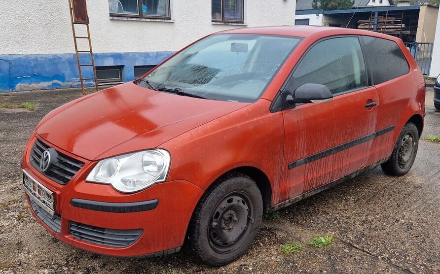 Polo