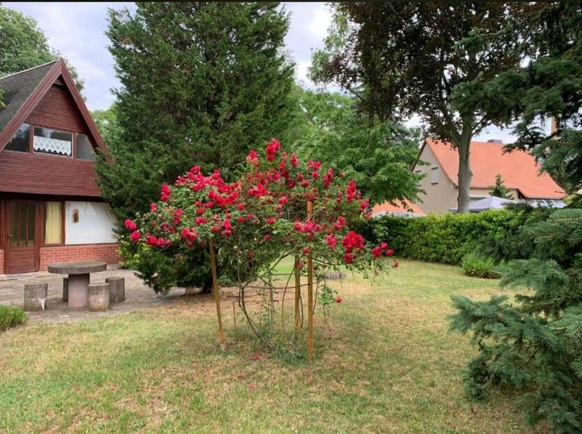 Wunderschönes Ferienhaus in traumhafter Lage zimmer