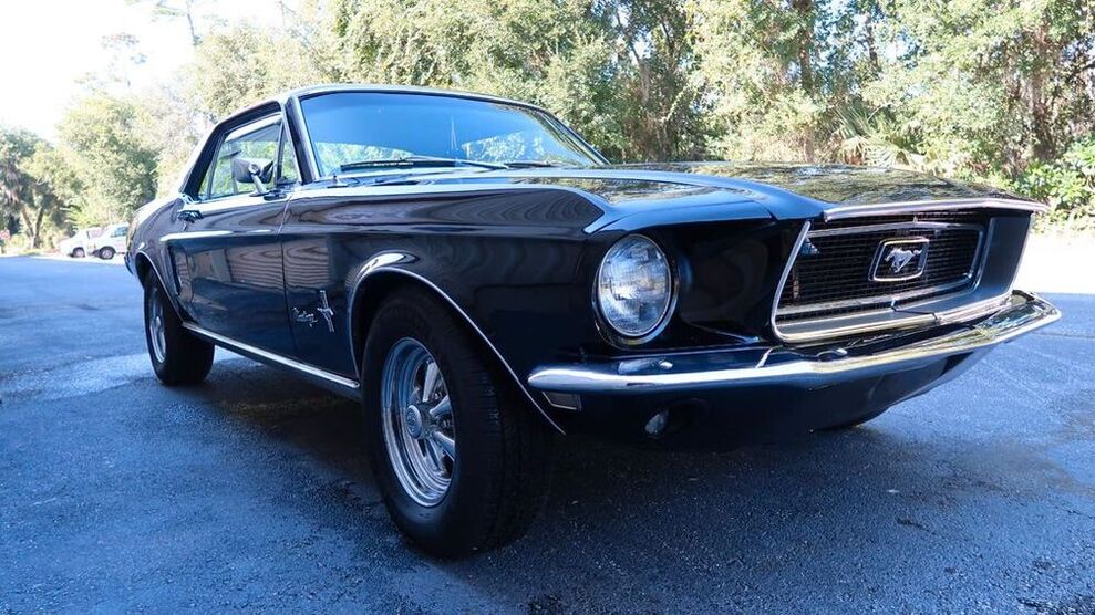 Mustang
