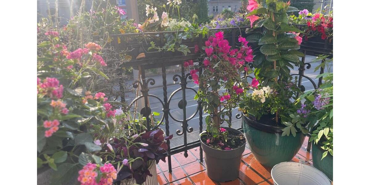 Etagenwohnung Dresden Blasewitz - 4 Zimmer, 88 m&sup2;, 1.400&euro; | Angebot:26232056