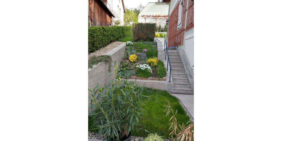 Etagenwohnung Meißen - 2 Zimmer, 55 m&sup2;, 329&euro; | Angebot:25751818