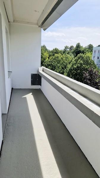 Studenten aufgepasst: WG-geeignete 3-Zimmer-Wohnung! zimmer