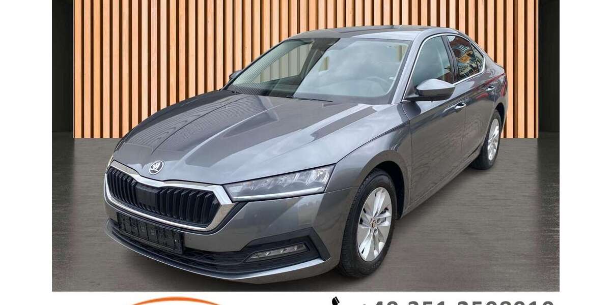 Skoda Octavia 87.839 km 17.980 &euro; Dresden/Weißig 01328