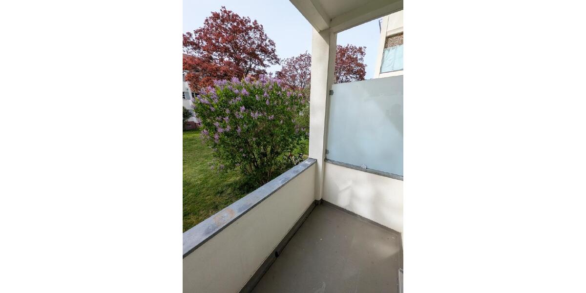 Etagenwohnung Dresden Blasewitz - 2 Zimmer, 57 m&sup2;, 684&euro; | Angebot:26652979