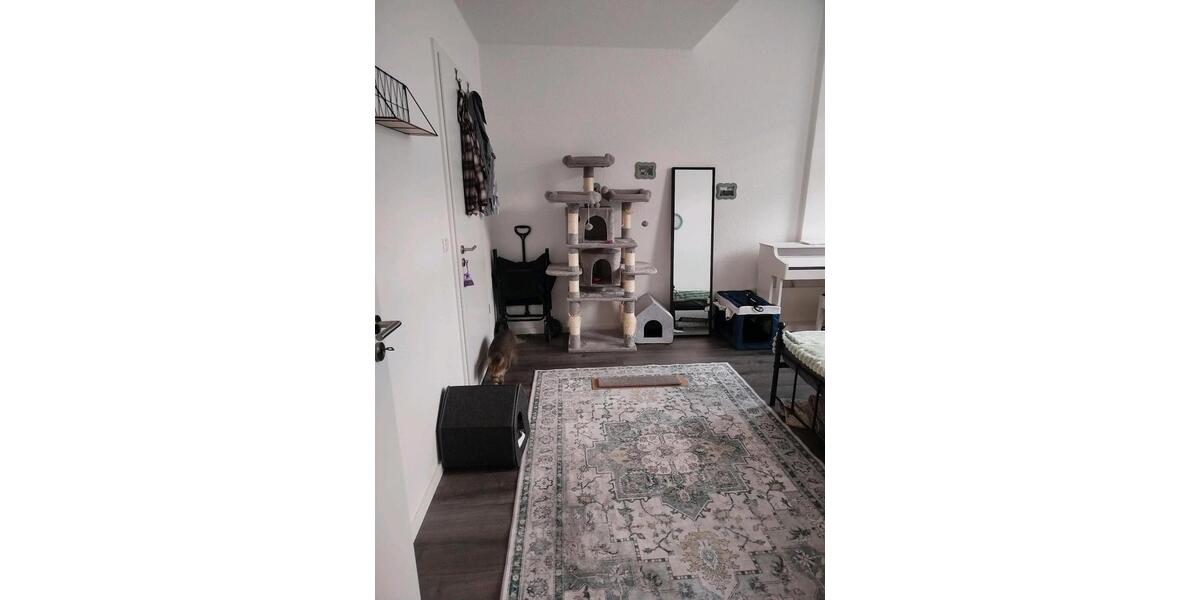 Erdgeschoßwohnung Dresden Leuben - 2 Zimmer, 60 m&sup2;, 920&euro; | Angebot:25189886