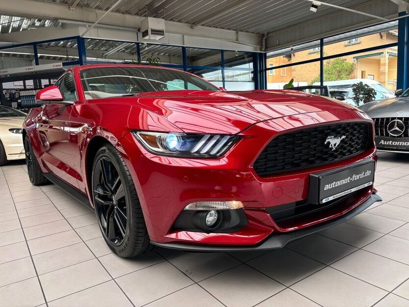 Mustang