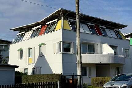 Wohnung zum Mieten in Dresden 600 € 66 m² 3 zimmer