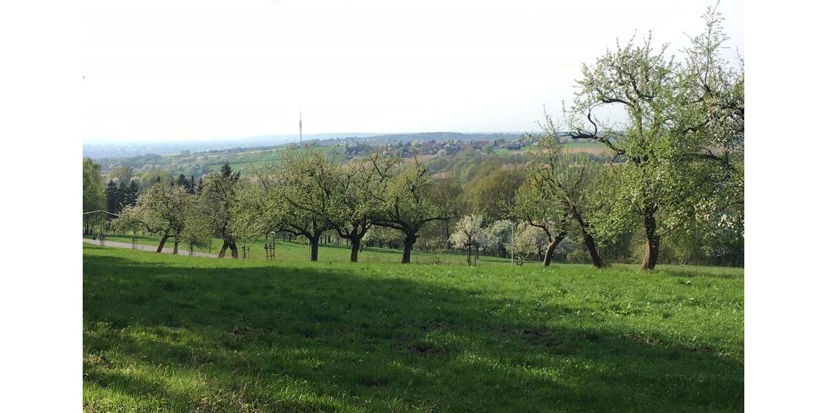 Wohnen auf dem Pillnitzer Hochplatteau saniertes Denkmal 2 zimmer