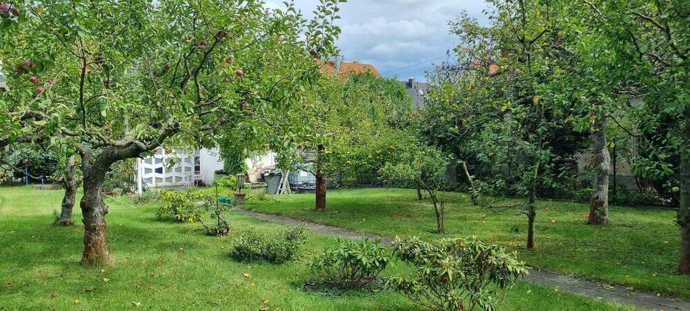 Bauträgerfrei für EFH oder Doppelhaus zimmer