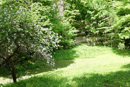 Grundstück in Porschdorf bei Bad Schandau zimmer