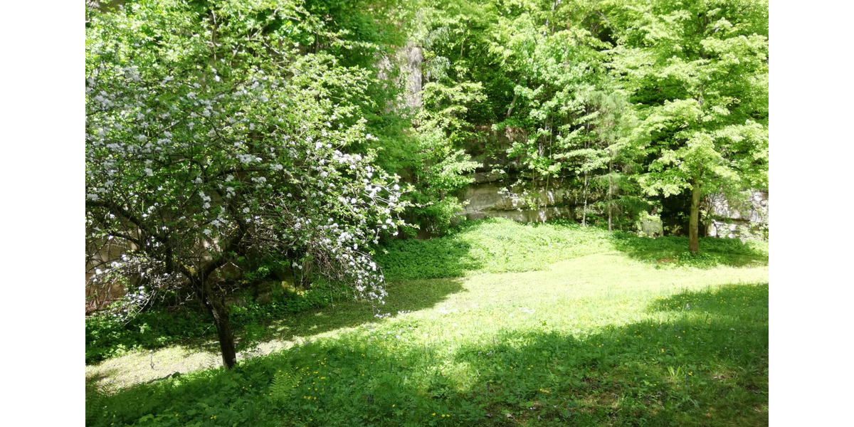 Grundstück in Porschdorf bei Bad Schandau zimmer