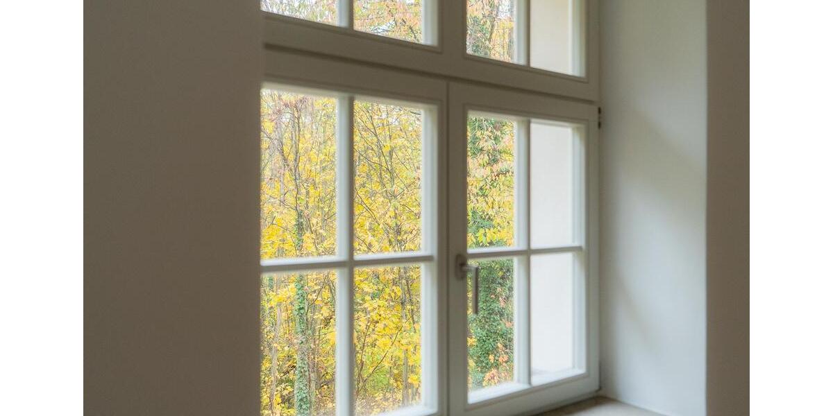 Wohntraum im Erstbezug. 216qm-Etagenwohnung im denkmalgeschützten Lahmann-Sanatorium. 6 zimmer