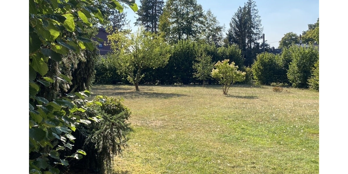 Naturidylle trifft Familienglück: Exklusives 1573 m² Filet- Baugrundstück am Waldrand von Moritzburg - Grundstück Moritzburg | Angebot:27450921