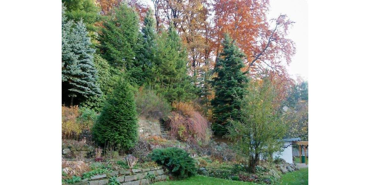 Grundstück Dresden Bühlau/Weißer Hirsch - 320.000&euro; | Angebot:24131793