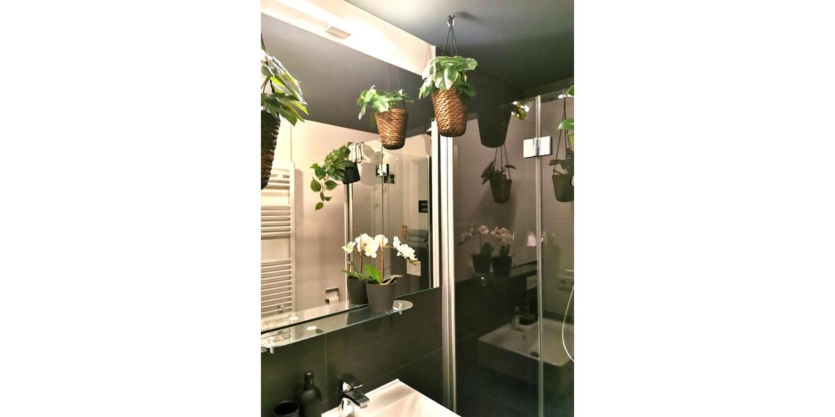 Erdgeschoßwohnung Dresden Plauen - 2 Zimmer, 48 m&sup2;, 850&euro; | Angebot:24373438