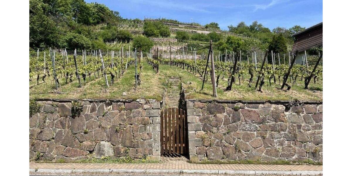 Grundstück Radebeul - 330.000&euro; | Angebot:25749244