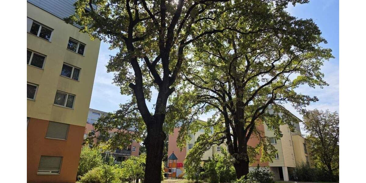 Großzügige Büroeinheit mit optimaler Raumaufteilung in der Leipziger Vorstadt! 9 zimmer