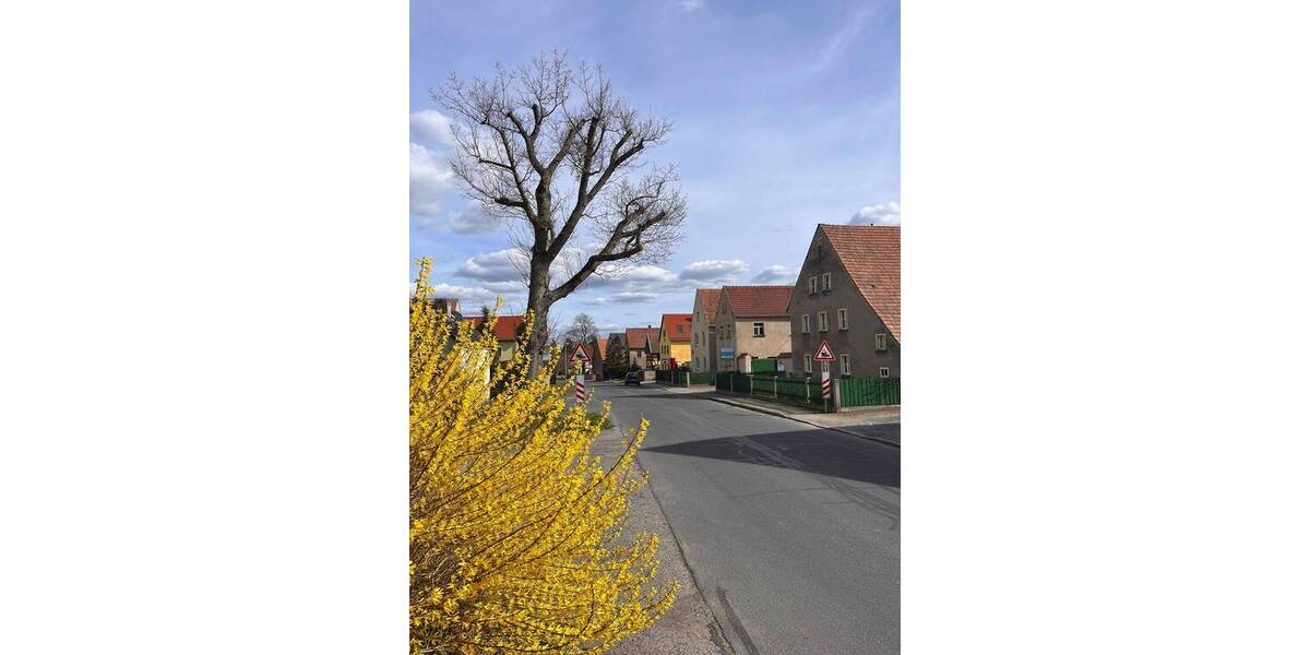 Bauernhaus, Landhaus Moritzburg Friedewald - 6 Zimmer, 175 m&sup2;, 2.300&euro; | Angebot:26331569