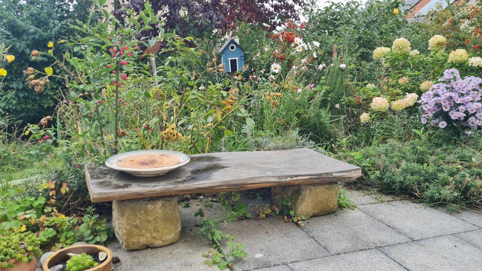 WG Zimmer in DD Pappritz, ideal für Studentinnen der HTW Pillnitz 1 zimmer