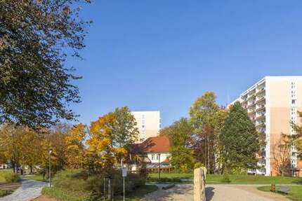 Wohnung zum Mieten in Freiberg 350 € 49.5 m²