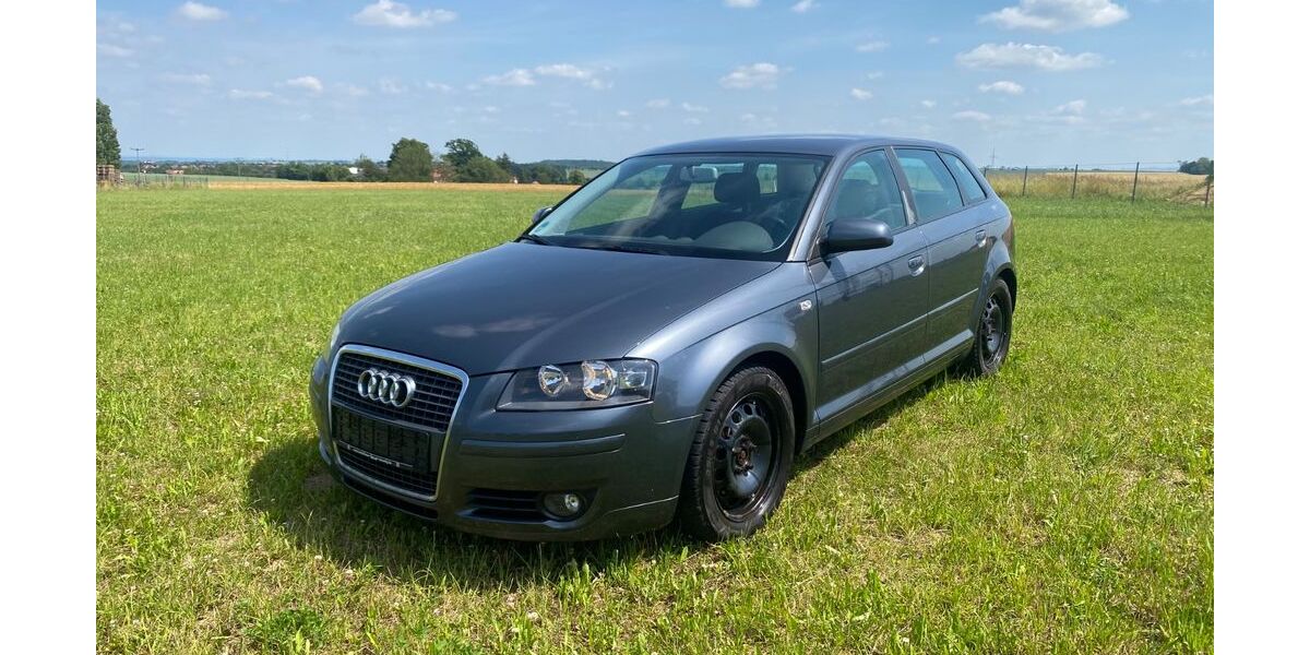 Audi A3 230.350 km 3.999 &euro; Röhrsdorf 01665