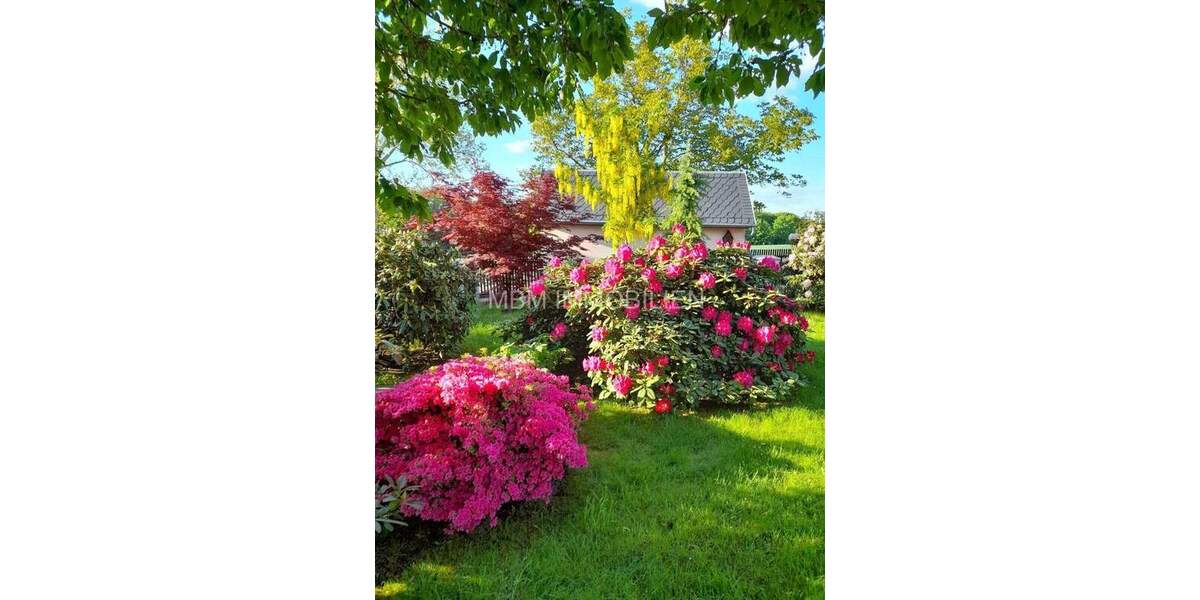 Ihr neues zuHause umgeben von viel grün in Dresden 4 zimmer