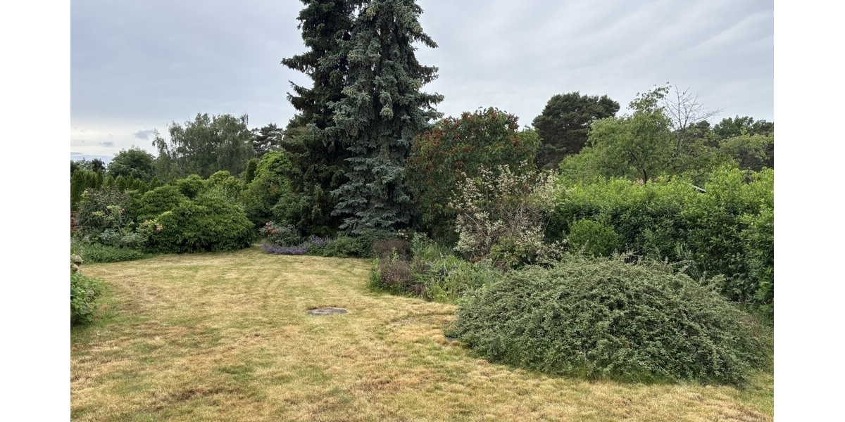 Premium-Bauplatz: Großzügiges durchgrüntes Grundstück (1.560 m²) inklusive bezugsfertigem Gästehaus! - Grundstück Coswig | Angebot:27443944
