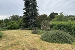 Premium-Bauplatz: Großzügiges durchgrüntes Grundstück (1.560 m²) inklusive bezugsfertigem Gästehaus! - Grundstück Coswig | Angebot:27443944