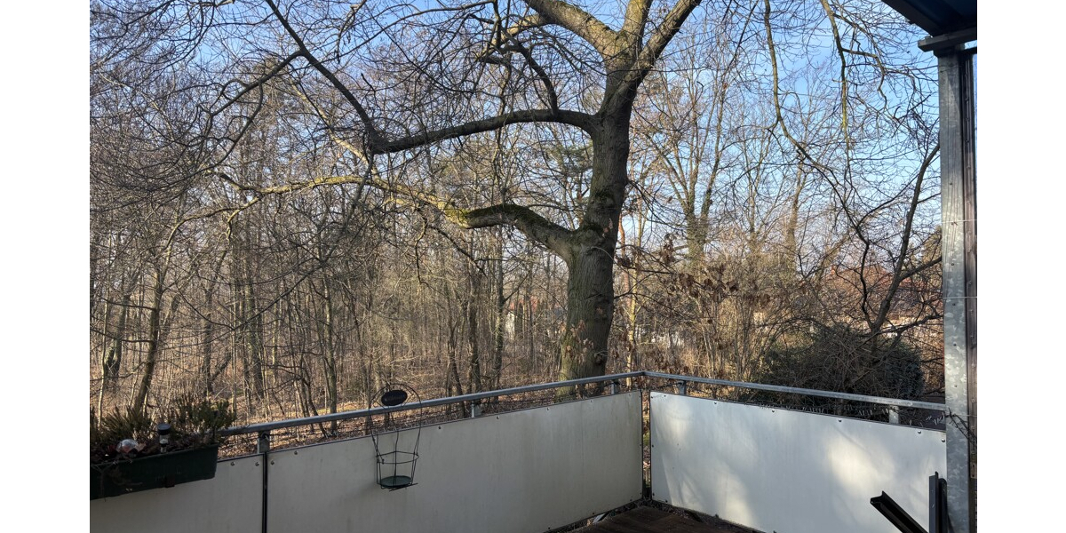 Traumhafte 5-Zimmer Eigentumswohnung im Park in absoluter Bestlage am Waldrand - Erdgeschoßwohnung Coswig | Angebot:25060534